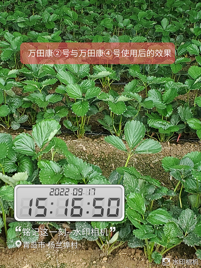 2020年10月1效果对比